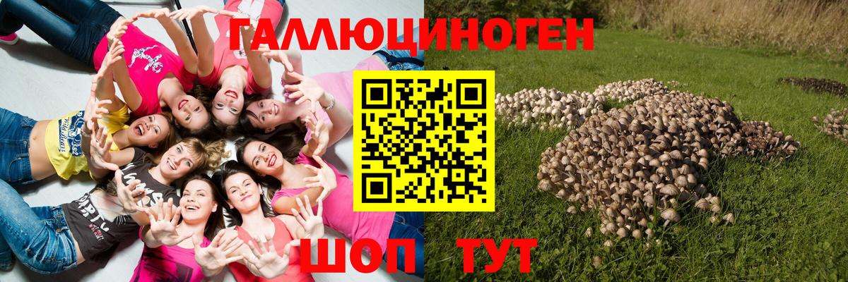 Псилоцибиновые грибы прущие грибы  купить наркотики сайты  Галлюциногенные грибы MAGIC MUSHROOMS  Йошкар-Ола  Вход с VPN 